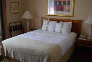 Hotel Holiday Inn Anaheim
