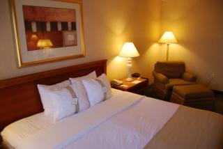 Hotel Holiday Inn Anaheim