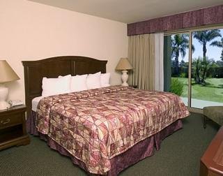 Hotel Holiday Inn Bayside