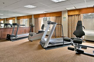 Hotel Holiday Inn Chicago O'hare