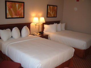 Hotel Holiday Inn Chicago O'hare