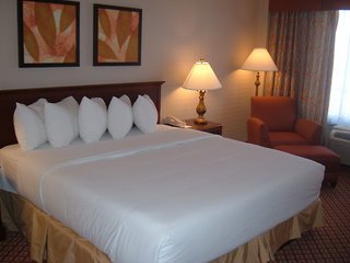 Hotel Holiday Inn Chicago O'hare