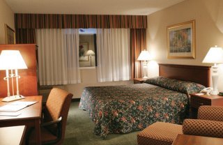 Hotel Holiday Inn Denver Central