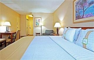 Hotel Holiday Inn Elk Grove