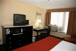 Hotel Holiday Inn Express Downtown Detroit