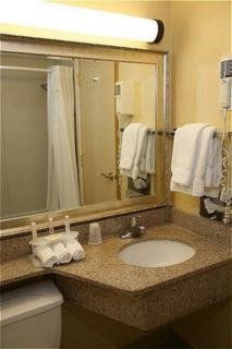 Hotel Holiday Inn Express Downtown Detroit