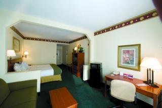 Hotel Holiday Inn Express Orlando Airport