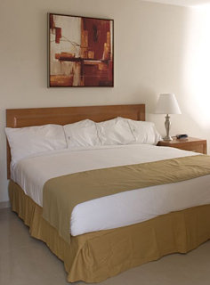 Hotel Holiday Inn Express Playacar