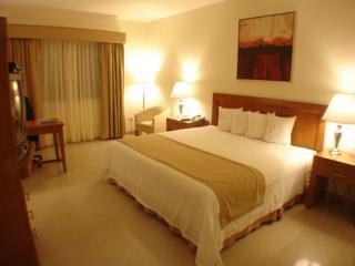 Hotel Holiday Inn Express Playacar