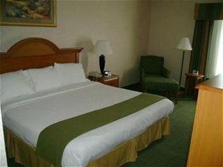 Hotel Holiday Inn Express Stone Mountain