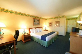 Hotel Holiday Inn Express & Suites Lake Buenavista East