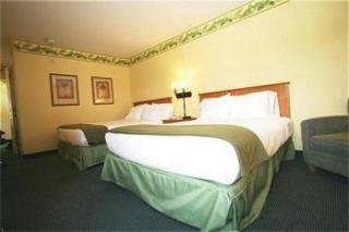 Hotel Holiday Inn Express & Suites Lake Buenavista East