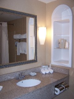 Hotel Holiday Inn Express & Suites Tampa-fairgrou
