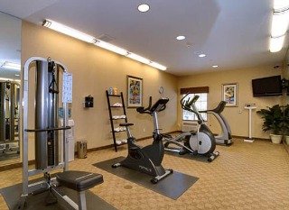 Hotel Holiday Inn Express Tampa North