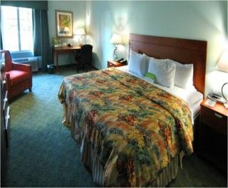Hotel Holiday Inn Express Tampa North