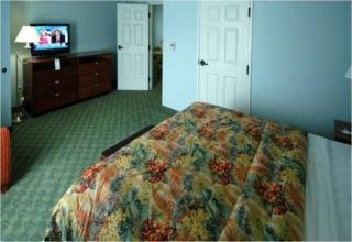 Hotel Holiday Inn Express Tampa North