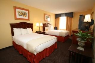 Hotel Holiday Inn French Quarter