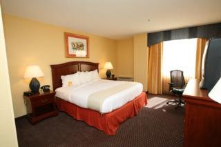 Hotel Holiday Inn French Quarter