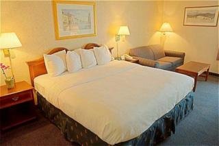Hotel Holiday Inn Georgetown