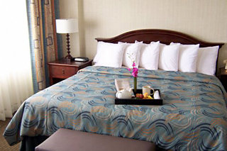 Hotel Holiday Inn Hotel & Suites Medical Center