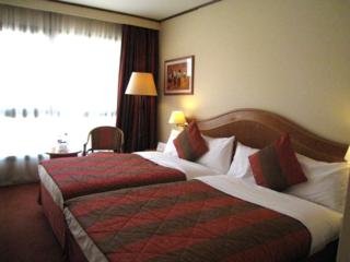 Hotel Holiday Inn Nice