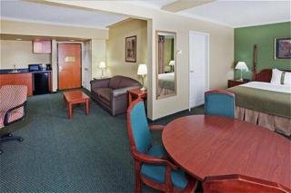 Hotel Holiday Inn North Dallas-addison