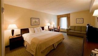 Hotel Holiday Inn Pittsburgh University Center