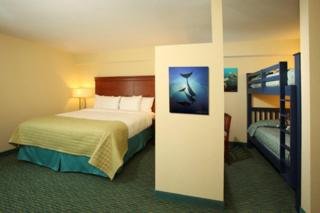 Hotel Holiday Inn Resort Lake Buena Vista-sunspree