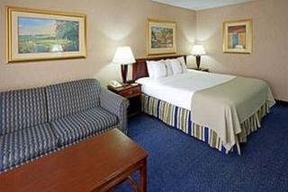Hotel Holiday Inn Riverwalk