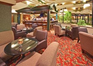 Hotel Holiday Inn Rushmore Plaza