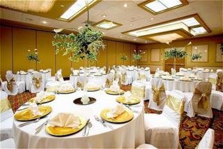 Hotel Holiday Inn San Antonio International Airport