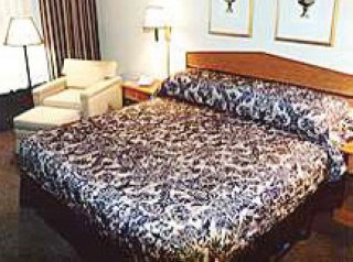 Hotel Holiday Inn Select Downtown