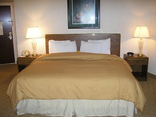 Hotel Holiday Inn Select Peachtree Corner