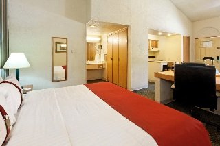 Hotel Holiday Inn & Suites