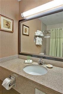 Hotel Holiday Inn & Suites Mesa