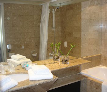 Hotel Holiday Inn Toulouse Centre