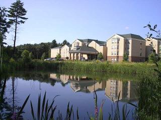 Hotel Homewood Suites By Hilton