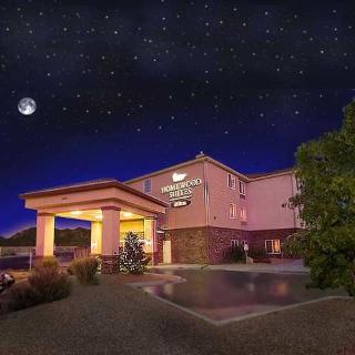 Hotel Homewood Suites By Hilton Albuquerque-journal