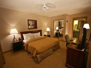 Hotel Homewood Suites By Hilton Baltimore-bwi Airport