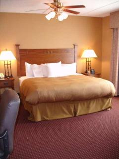 Hotel Homewood Suites By Hilton Buffalo-amherst