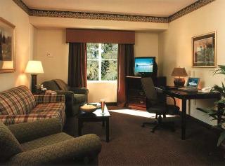 Hotel Homewood Suites By Hilton Charleston-mt