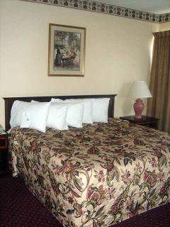 Hotel Homewood Suites By Hilton Chattanooga-hamilto