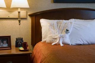 Hotel Homewood Suites By Hilton Chicago-downtown