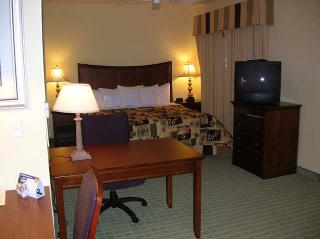 Hotel Homewood Suites By Hilton College Station