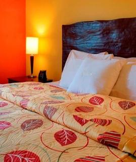 Hotel Homewood Suites By Hilton Columbus