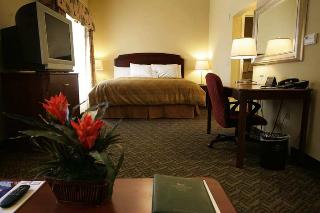 Hotel Homewood Suites By Hilton Daytona Beach