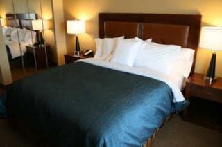 Hotel Homewood Suites By Hilton Fayetteville