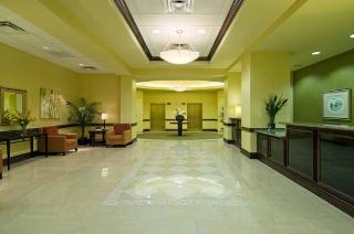 Hotel Homewood Suites By Hilton Gallery Houston