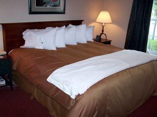 Hotel Homewood Suites By Hilton Hartford-farmington