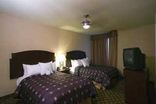 Hotel Homewood Suites By Hilton Henderson